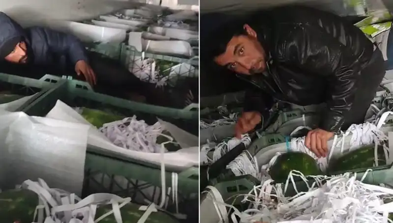 Karpuzların Arasından Çıkan Suriyeli Göçmenler: İnsani Drama Dikkat Çekiyor
