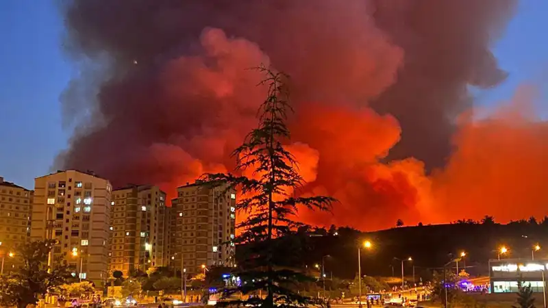 Bursa'da Yangınlar Ortalığı Sararken, Halk Ne Yapmalı?