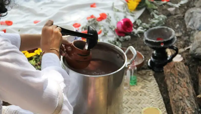 Ayahuasca: Eski Bir Gelenek mi, Yeni Bir Trend mi?
