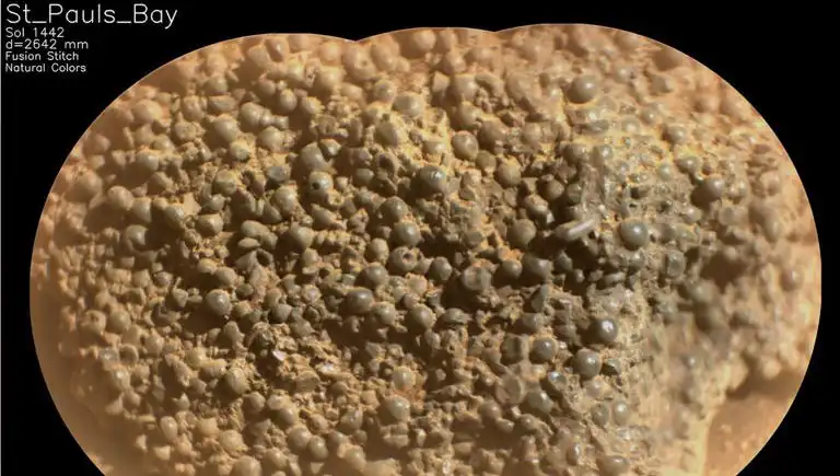 Mars'ta Şaşırtıcı Keşif: Örümcek Yumurtaları mı Bulundu?