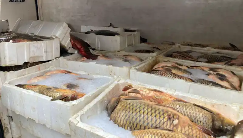 Kaçak Balık Avı Yapanlara Çarpıcı Ceza! Binlerce Lira Hızla Geliyor