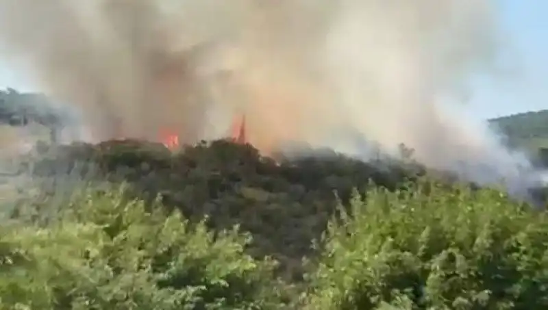 İstanbul'da Korkutan Orman Yangını: Vatandaşlar Tahliye Edilmek Zorunda Kaldı